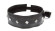 Полиуретановый ошейник с пуклями Collar with Studs Полиуретановый ошейник с пуклями Collar with Studs