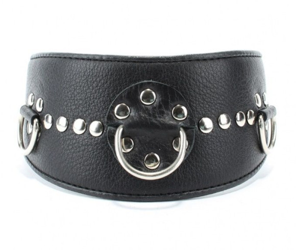 Чёрный кожаный ошейник с полукольцами и клёпками Чёрный кожаный ошейник с полукольцами и клёпками