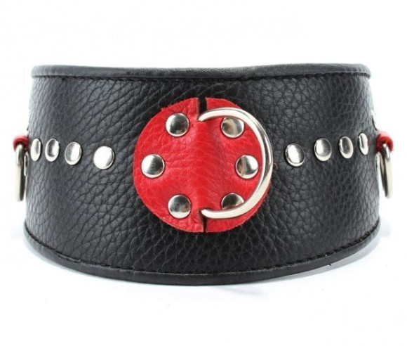 Черно-красный кожаный ошейник с металлическими клепками Черно-красный кожаный ошейник с металлическими клепками