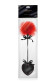 Стек с пуховкой Sweet Caress Feather Whip - 44 см. Стек с пуховкой Sweet Caress Feather Whip - 44 см.