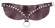 Бордовый широкий ошейник Wide Collar Maroon Бордовый широкий ошейник Wide Collar Maroon