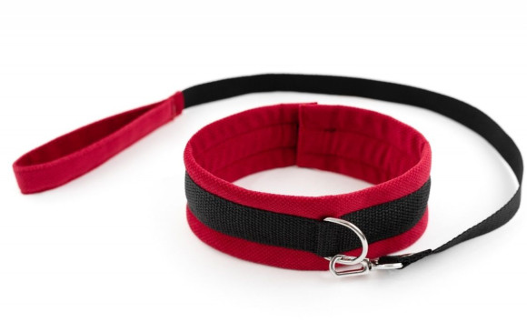 Красно-черный ошейник My rules с поводком Красно-черный ошейник My rules с поводком