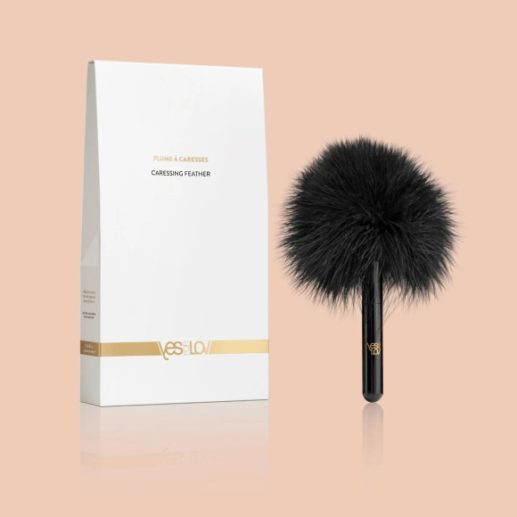 Черная перьевая кисточка с гладкой ручкой Черная перьевая кисточка с гладкой ручкой